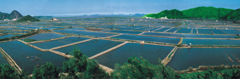 坡口機(jī)